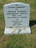 image number Watts George Donald Wellsman  145